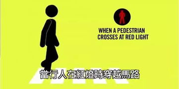 陆总,小心别动了胎气全文免费阅读 陆总小心点，致命马甲要掉了！一不小心结错婚，短剧抢先看完整版 --第1张