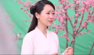 师娘下山短剧抢先看完整版--第1张