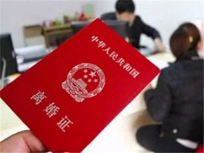 离婚当天千亿总裁带你去领证，千名保镖迎接，短剧抢先看！--第1张