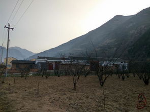 阳光照进小山村杨景景短剧抢先看完整版 阳光照进森林风景图片 --第1张