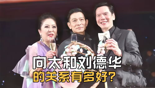 离婚之后，陆总后悔了，前妻归来--第1张