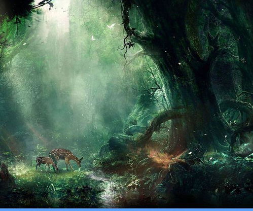 林深不见鹿小说全集，林深不见鹿长篇短剧抢先看完整版--第1张