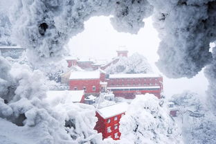 宫墙雪短剧抢先看完整版 宫墙雪景 --第1张