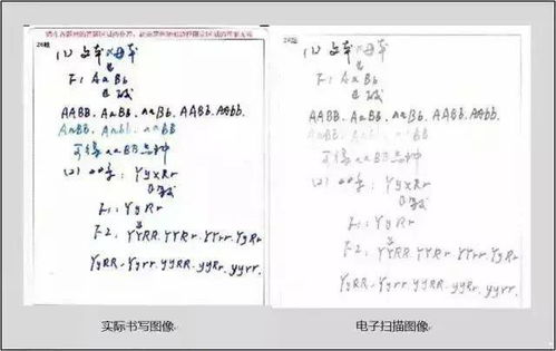 黑色的荣耀 黑色荣耀之孤注一掷短剧抢先看完整版 --第1张
