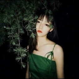 被绿后我被美女包围了，绿帽下的逆袭人生--第1张