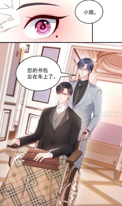被渣后我重生了，总裁心尖宠抢鲜看完整版最新章节抢先看--第1张