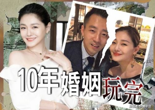 离婚后三个大佬狂追我免费阅读 离婚后三个姐姐爱我如命短剧抢先看完整版 --第1张