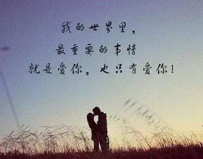 奈何流年枉情深宋楠热播短剧资讯 小说名字叫《奈何流年枉情深》 --第1张
