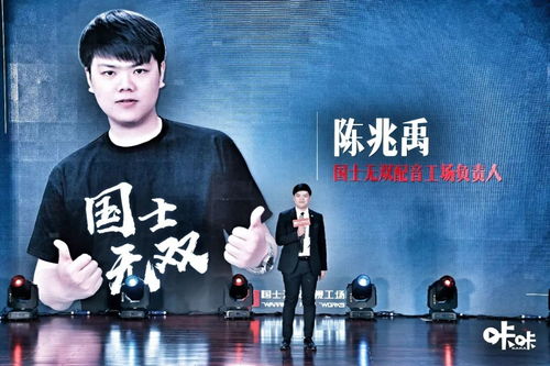 热播短剧揭秘，无双国士的含义--第1张