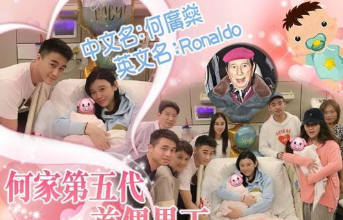 偷生萌娃豪门老公日日宠热播短剧资讯 偷生萌宝一拖二全文免费阅读 --第1张