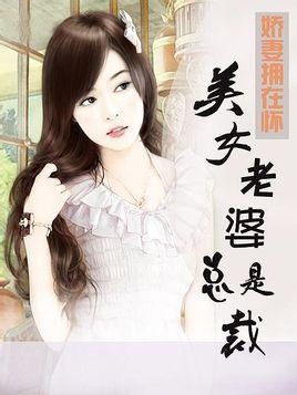 霸道总裁爱上我，我的老婆是女总裁--第1张