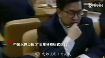 预知未来一秒赚十亿热播短剧资讯 预知未来视频 --第1张