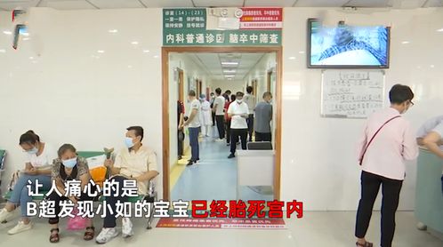 死遁后慕大人后悔了，黑化之路--第1张