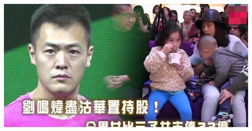 千亿前妻高攀不起，离婚后我成了豪门继承人--第1张