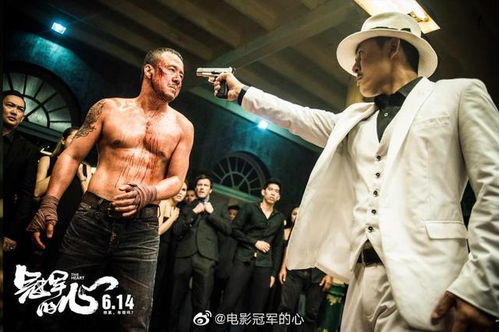 地下黑拳有多可怕 地下黑皇热播短剧资讯 --第1张
