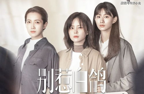 重生前妻太难追热播短剧资讯在线观看 重生前妻太难追热播短剧资讯 --第1张