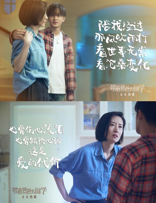 浩子热播短剧资讯，闪婚后我实力藏不住了！--第1张