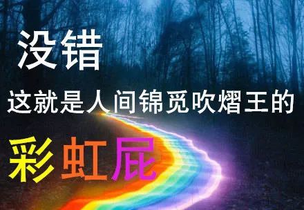 重生后我走向了人生巅峰，短剧资讯下载--第1张