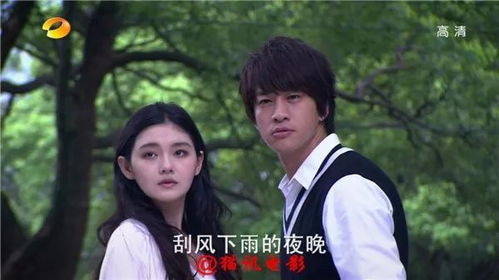 新再爱一次短剧资讯，热播中的情感故事，在线观看指南--第1张