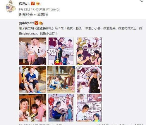 兄长们请别太宠我短剧资讯，兄长别闹了书名是什么？--第1张