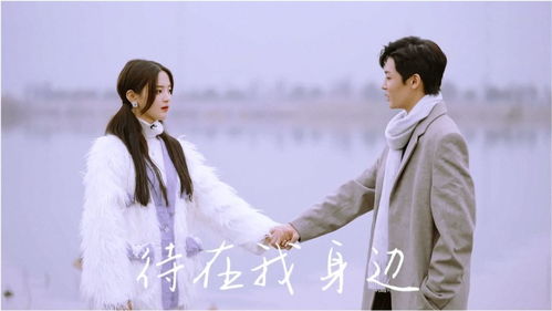因为遇见你演员列表 因为遇见你热播短剧资讯 --第1张
