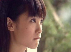 晚来揽星归 摘片柳叶吹彻天边 晚来揽星归爆流热播短剧资讯 --第1张