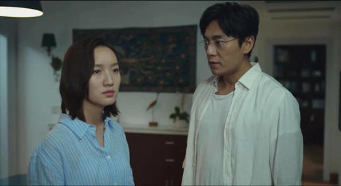 入赘五年离婚后，无敌热播短剧资讯--第1张