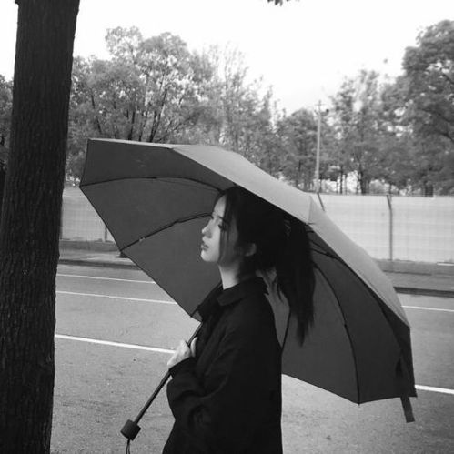闪婚总裁的高冷娇妻--第1张