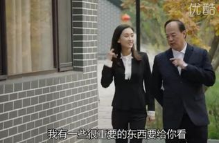 乡村TOD，潜龙热播短剧的乡村魅力资讯--第1张