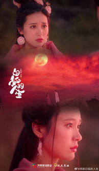 修仙归来热播短剧资讯在哪看 修仙归来，热播短剧资讯大揭秘 --第1张