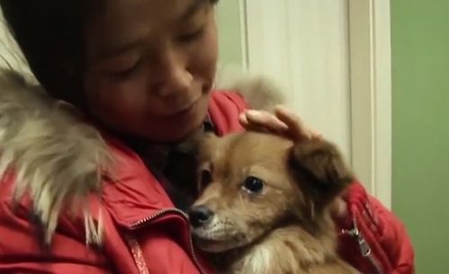  新版她死后薄爷跪在墓前哭成狗热播短剧资讯 --第1张