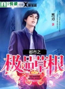 都市极品代驾与都市极品奶爸的相关资讯--第1张