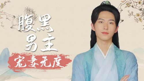 关总宠妻无度，关总热播短剧解析--第1张