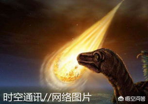 陨龙现世，陨石龙短剧价格爆料--第1张