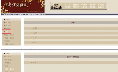 真龙热播短剧资讯官方资讯平台--第1张