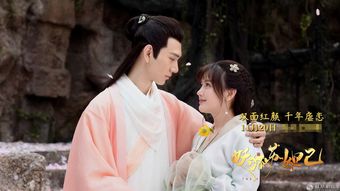 双面红颜，一部热播短剧的魅力解析——从剧情、角色和主题角度探讨--第1张