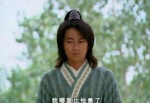 穿越剧热播，太子他又被人害了在线观看资讯--第1张
