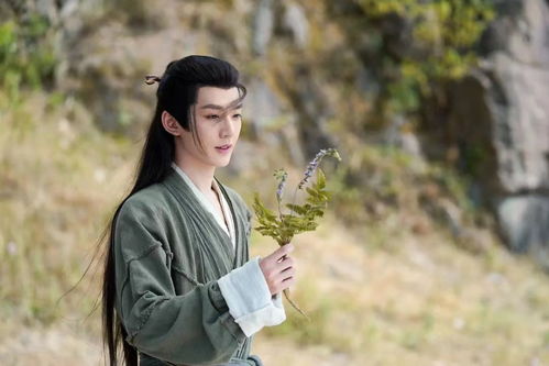 小说,长相思 长相思，错撩腹黑皇帝热播短剧资讯 --第1张