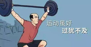 陆总小心别动了胎气，热播短剧资讯--第1张