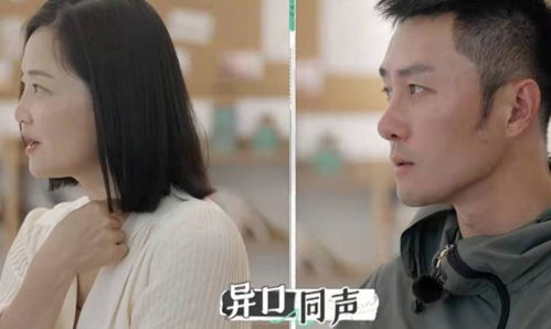 再见爱人热播短剧资讯在线观看，揭秘剧情走向，探讨婚姻与爱情的真谛--第1张