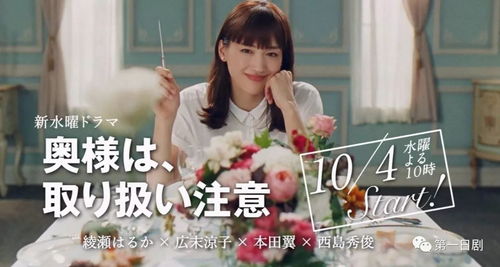 我的特工老婆免费阅读 特工老婆有点甜热播短剧资讯 --第1张