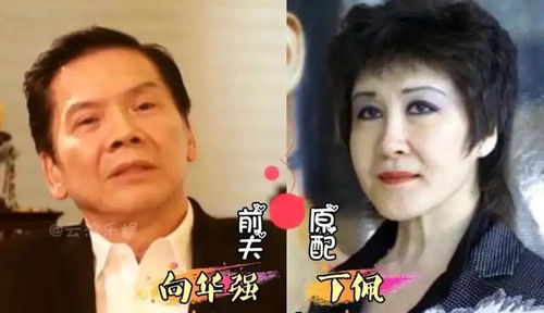 新版替嫁夫人是大佬热播短剧资讯 替嫁新娘夫人惊动全球了 --第1张