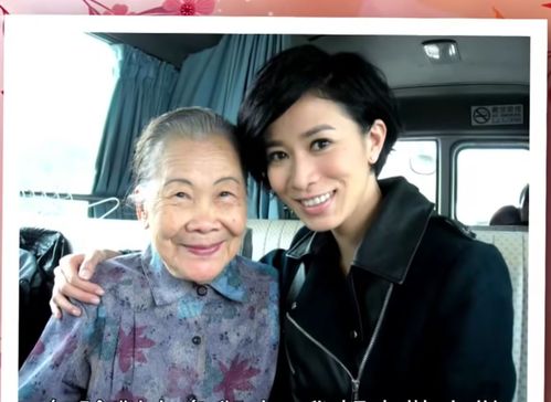 娱乐圈女王，热播短剧资讯--第1张