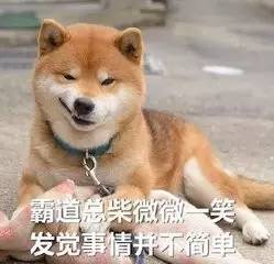 她死后薄爷跪在墓碑前哭成狗热播短剧资讯 薄爷夫人她又美又飒 --第1张