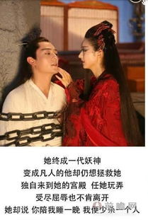 陆总,陆总夫人又闹离婚了 陆总，别虐了！夫人已下葬，蚀骨情殇祭流年，热播短剧资讯 --第1张