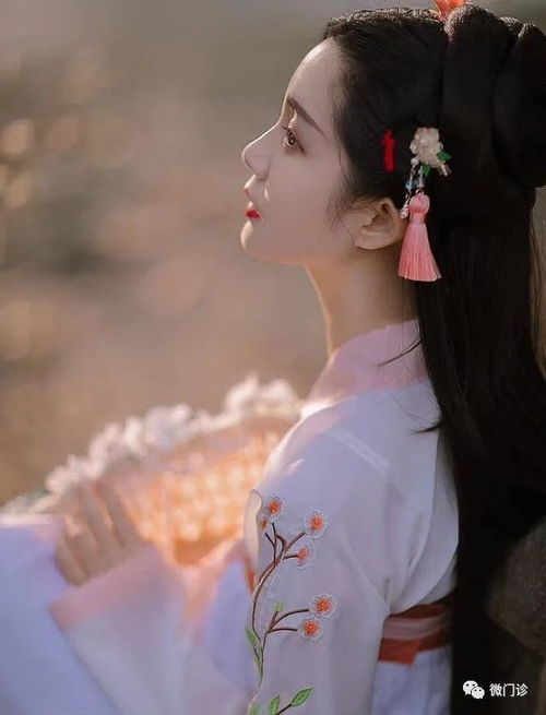 热播短剧权宠医妃的最新资讯，全文免费阅读无广告--第1张