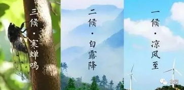 云天收夏色木叶动秋声暑去凉来,清爽,安逸...... 云天收夏色，热播短剧资讯大揭秘 --第1张