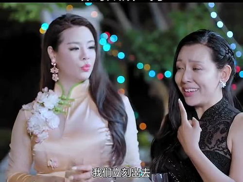 总裁夫人不当了 总裁夫人她不装了热播短剧资讯 --第1张