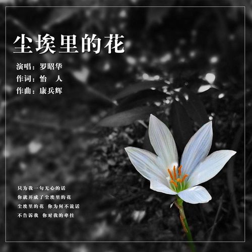 尘埃里的花朵热播短剧资讯 尘埃里的花朵图片 --第1张