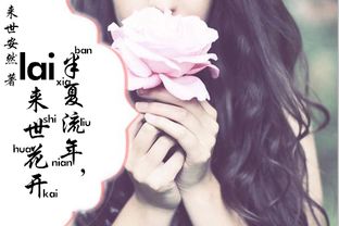 叶总来生不愿再相见，热门短剧揭秘--第1张